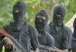 Two police officers and three vigilante members killed by unknown gunmen in Enugu