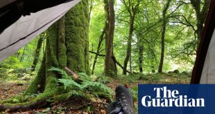 ‘Deep in the woods, 10 minutes from my car’: the platform helping wild camping beginners find a pitch