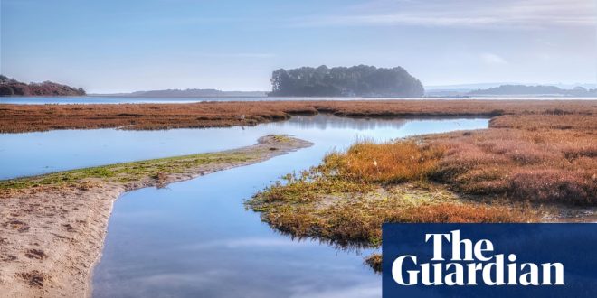 ‘The greatest biodiversity in England’ – a wander through the Isle of Purbeck ‘super’ nature reserve