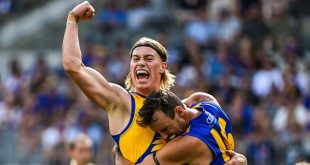 $18m deal mooted as frenzy over young gun grows