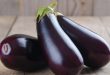 Could eggplants affect your gut health?