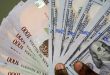 Naira will end the year around N1,450/$ - Global ratings agency predicts