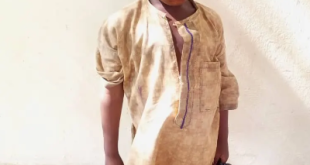 Police rescue minor from kidnappers? den and arrest suspect in Yobe