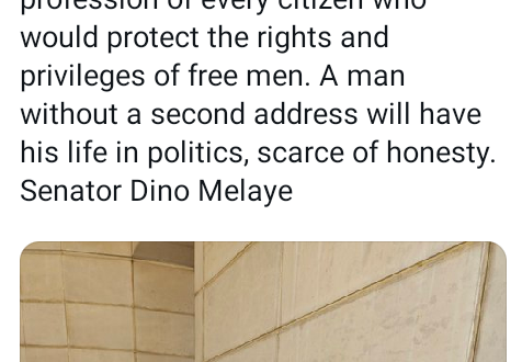 Politics should not to be a vocation or profession - Dino Melaye