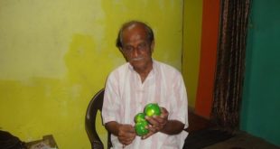 Sawantwadi’s Traditional Handmade Toys Struggle for Survival
