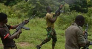Village head accepted N700K from bandits to allow them free access to attack his community, leading to murder of 30 people