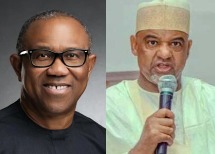 We want Peter Obi and others back to our party - PDP chairman, Umar Damagum, says