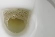 Why bubbles in your urine could spell trouble