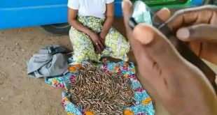 Woman caught with cache of ammunition in Katsina
