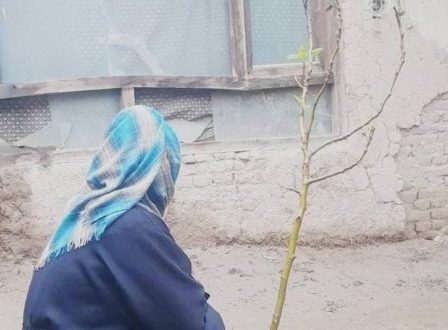 Forced Deportations Leave Afghan Women in Dire Poverty