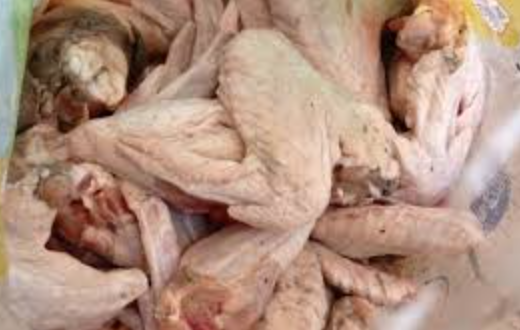 Lagos task force arrests 8 for selling contaminated turkey trashed by Customs at a dumpsite