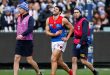Lloyd calls on AFL to save 'fabric' of the game