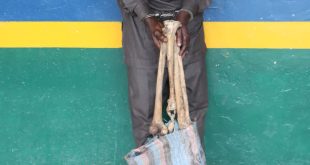 Man arrested with human skull and bones in Abuja, reveals he intended to sell them for N600,000