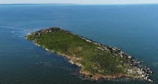 Musambwa: The mystical snake island on Lake Victoria where women are banned