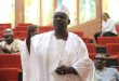 Ndume should put Nigeria first rather than seeking to divide and distract the government - Deputy House of Reps spokesperson