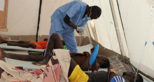 No confirmed cholera case in Borno - Official