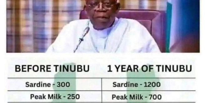 Tinubu is making me miss Buhari - Activist, Deji Adeyanju, writes as he compares prices of food items during Buhari and Tinubu administrations
