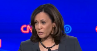 Trump Describes Kamala Harris In Two Words, Says Those Traits Are A 'Bad Combination'