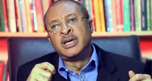 Utomi forms social movement New Tribe to correct ills, advance common goods