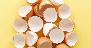 5 Smart Ways To Reuse Your Eggshells