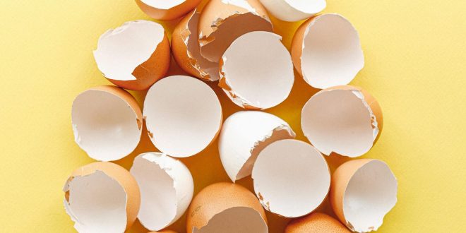 5 Smart Ways To Reuse Your Eggshells