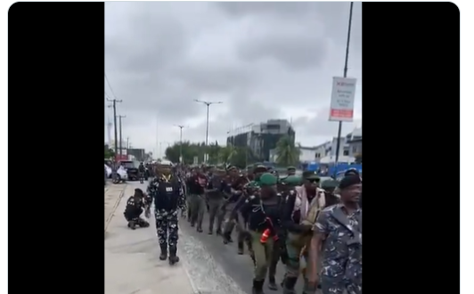 Bandits in Zamfara, Katsina and Kaduna will just be laughing- Lawyer/activist, Deji Adeyanju, reacts to video of police in show of force in Lekki, Lagos