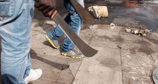 Hoodlums kill three in Gombe