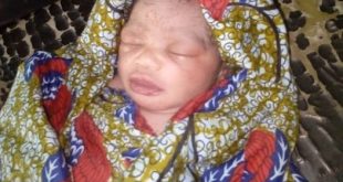 Newborn baby found dumped in Minna