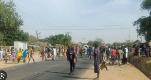 Police detain 50 suspected miscreants in Katsina during hunger protests