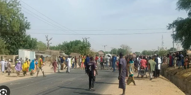 Police detain 50 suspected miscreants in Katsina during hunger protests