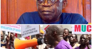 Protest: Tinubu