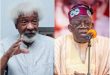 Tinubu?s speech didn?t address brutal crackdown on protesters - Soyinka