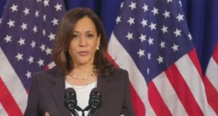 Trump Support Is Cracking As Kamala Harris Puts The Sun Belt In Play