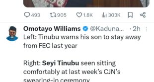 "What capacity is Seyi Tinubu acting in within this government?" Nigerians query first son