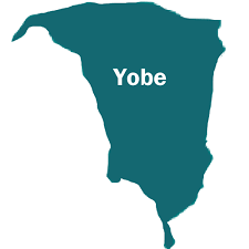 Yobe government imposes curfew after protests were hijacked by h00dlums