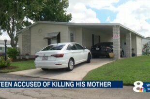 17-year-old stabs mother to death in Florida one year after killing father