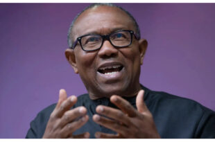 2027: I never said I?ll be vice president to anyone ? Peter Obi