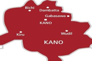 Abandoned newborn baby found in Kano