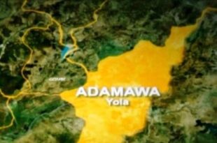 Adamawa police confirms k!lling of three persons over alleged witchcraft