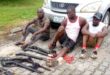 Army arrests 3 suspects over possession weapon cache in Delta