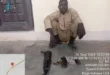 Boko Haram Terrorist surrenders, hands over AK 47 Rifle, ammunition to Troops