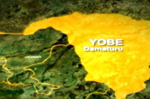 Boko Haram terrorists attack Yobe community, k!ll many, burn houses and shops