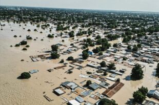 Borno flood situation still terrible ? SEMA