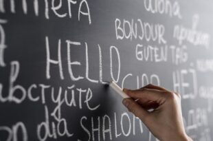 European Day of Languages celebrates our linguistic diversity