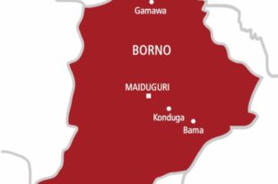 Gov Zulum shuts down schools in Borno over flood