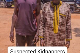 Kano police storm Kaduna forest, arrest two suspected kidnappers and rescue victims