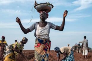 Nigeria has second highest rate of food insecurity in the world, Bill Gates says