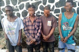 Ogun police arrest four suspected cultists terrorising residents