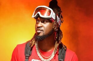 Paul Okoye reveals the best way to deal with trolls