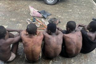 Police arrest eight suspects for kidnapping, cultism and armed robbery in Anambra